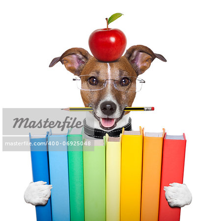 dog holding a big stack of books