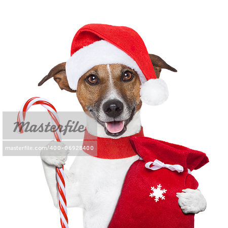 christmas dog holding a candy stick and sack