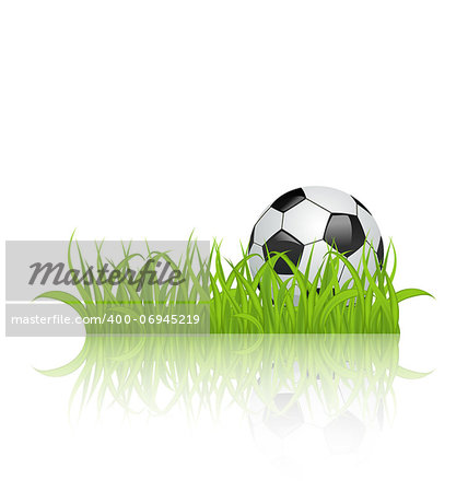 Illustration soccer ball on grass isolated on white background - vector