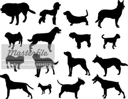 Dogs silhouette - vector