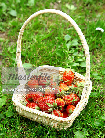 Fresh strawberries in white basket on green grass