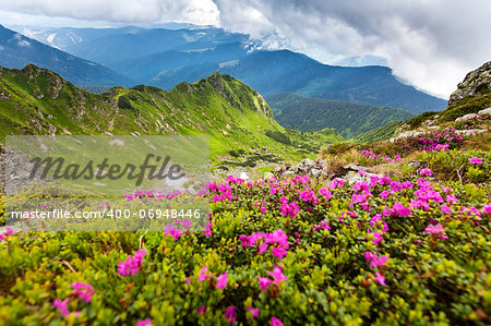 Image of a beautiful carpathian mountains. Marmaros massif in eastern Carpathians.