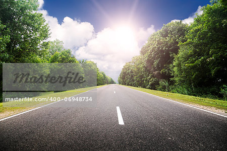 Asphalt road in green forest. Belarus. Sunset.