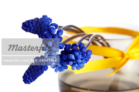 Blue hyacinths. Spring flowers. Blue flowers. Flowers in a vase.