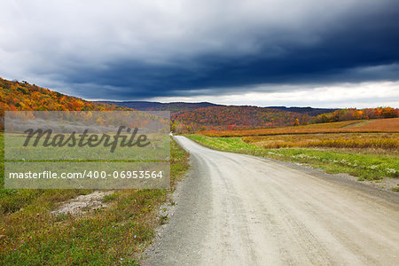 A dirt road winds through the colorful Autumn landscape in Tioga County,Pennsylvania .