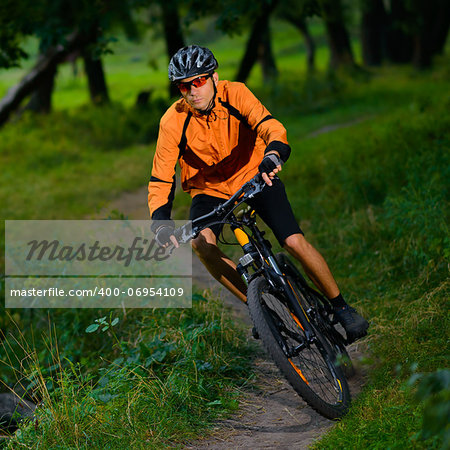 Cyclist Riding the Bike on the Trail in the Beautiful Summer Forest