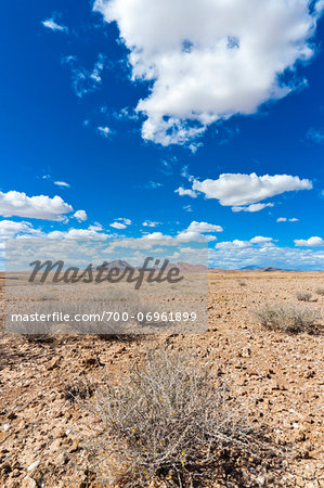 Scenic view of the Namib desert, Namibia, Africa