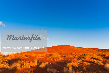 Red Dune and moon in blue sky, Sossusvlei, Namib Desert, Namib Naukluft Park, Namibia, Africa Red Dune and moon in blue sky, Sossusvlei, Namib Desert, Namib Naukluft Park, Namibia, Africa