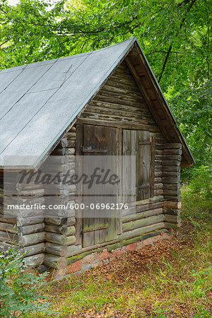 Old Wooden Cabin in Beech Forest (Fagus sylvatica), Spessart, Bavaria, Germany