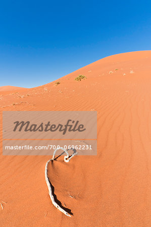 Sand Dunes, Namib-Naukluft National Park, Namib Desert, Sossusvlei Region, Namibia, Africa