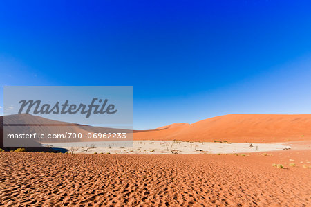 Dead Vlei, Namib-Naukluft National Park, Namib Desert, Sossusvlei Region, Namibia, Africa
