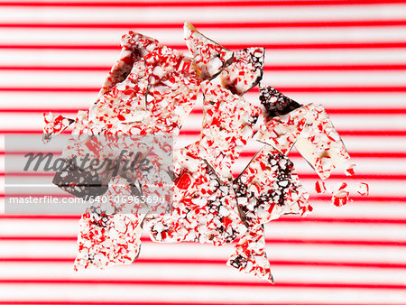 Studio shot of homemade Christmas cookies