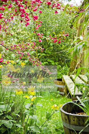 View of backyard garden View of backyard garden