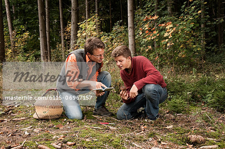 Father and son picking mushrooms, Bavaria, Germany, Europe Father and son picking mushrooms, Bavaria, Germany, Europe