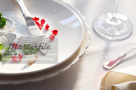 Dinner Remains on a White Plate; Pomegranate Seeds, Kale, Fork and Knife Dinner Remains on a White Plate; Pomegranate Seeds, Kale, Fork and Knife