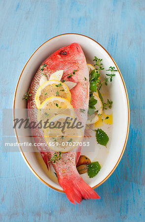 Whole Red Snapper with Fresh Herbs and Lemon; In a Bowl; From Above Whole Red Snapper with Fresh Herbs and Lemon; In a Bowl; From Above