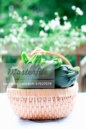 Fresh Whole Zucchini in a Basket