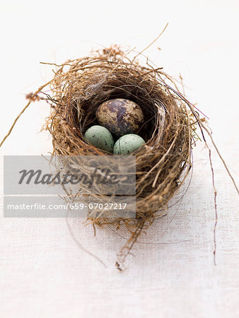 Quail's egg with marzipan egg in an Easter nest