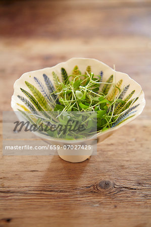 Fresh cress in a ceramic bowl