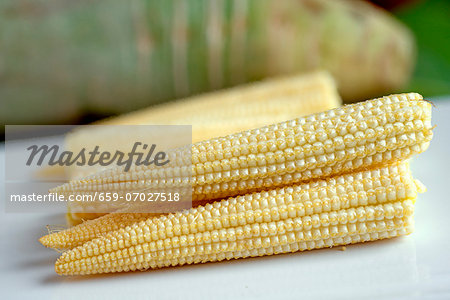 Young, peeled corn cobs