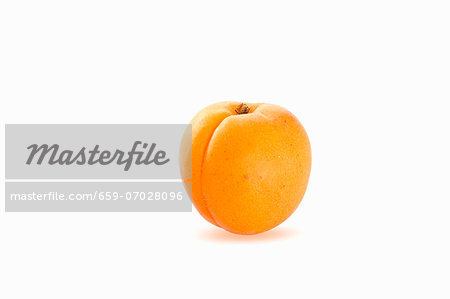 An apricot against a white background