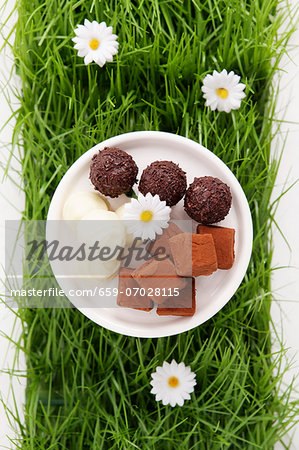 Assorted chocolates in artificial grass