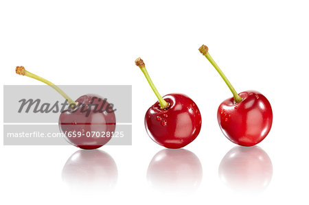 Three Cherries Three Cherries