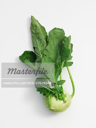 Kohlrabi with leaves Kohlrabi with leaves