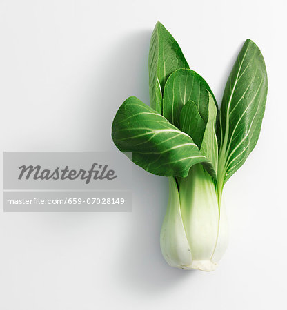 Pak choi Pak choi