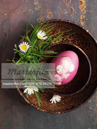 A pink decorated egg for Easter in a wooden bowl with daisies