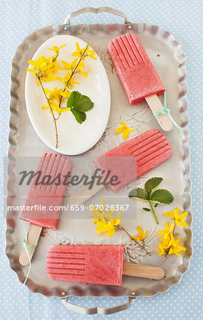 Strawberry smoothie ice lollies on a tray with forsythia flowers
