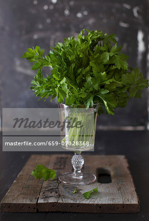 A bunch of parsley in a glass