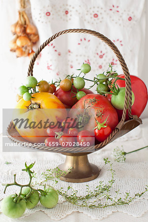 A Variety of Fresh Tomatoes in a Metal Basket A Variety of Fresh Tomatoes in a Metal Basket