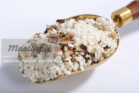 Vialone Nano risotto rice with dried porcini mushrooms, pink peppercorns and parsley on a brass scoop Vialone Nano risotto rice with dried porcini mushrooms, pink peppercorns and parsley on a brass scoop