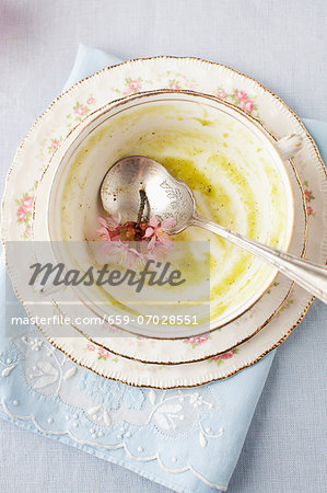 An Empty Soup Bowl with Remains of Green Spring Soup An Empty Soup Bowl with Remains of Green Spring Soup