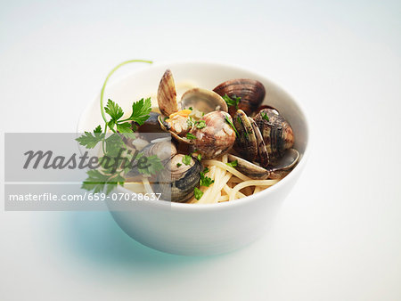 Spaghetti with clams in a bowl against a white background