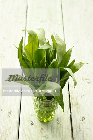 Fresh wild garlic leaves in a water glass on a wooden surface Fresh wild garlic leaves in a water glass on a wooden surface