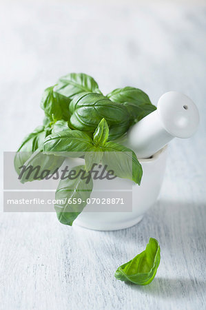 Fresh basil in a mortal with a pestle Fresh basil in a mortal with a pestle