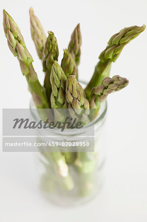 Asparagus Asparagus