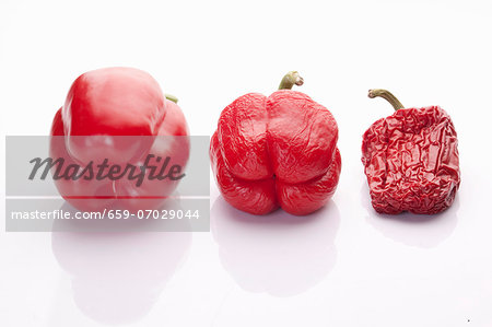 Bell peppers, fresh to dried Bell peppers, fresh to dried