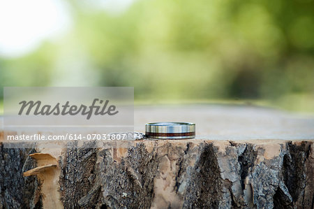 Two silver wedding rings displayed on tree trunk