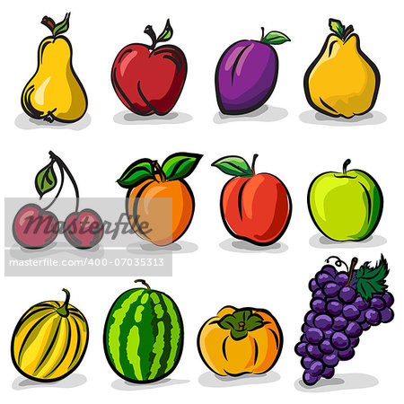 Temperate fruits sketch drawing vector set