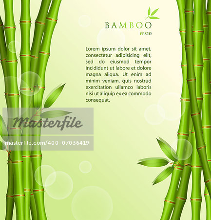 Vector illustration of Background with green bamboo