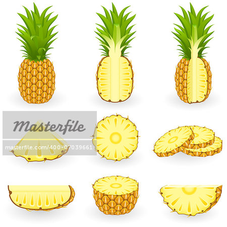 Vector illustration of pineapple