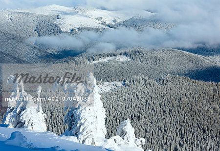 Winter mountain landscape with snowy trees on slope in front