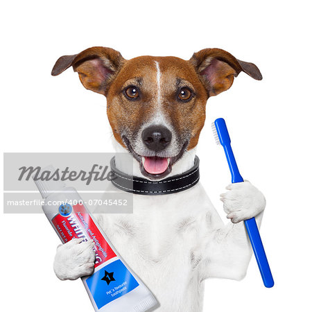 teeth cleaning dog with toothpaste and toothbrush