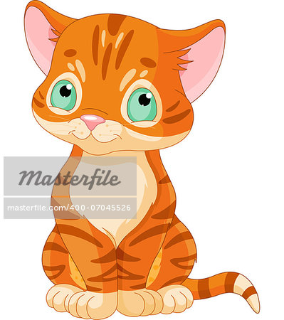 Sitting red tabby kitten