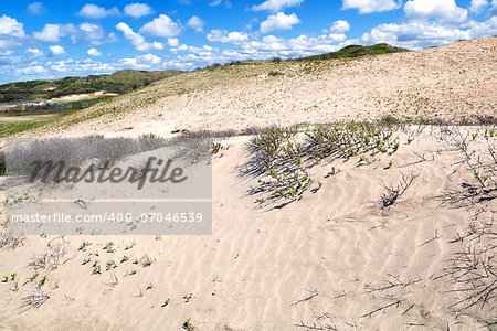 sand dunes and blue sky in Holland