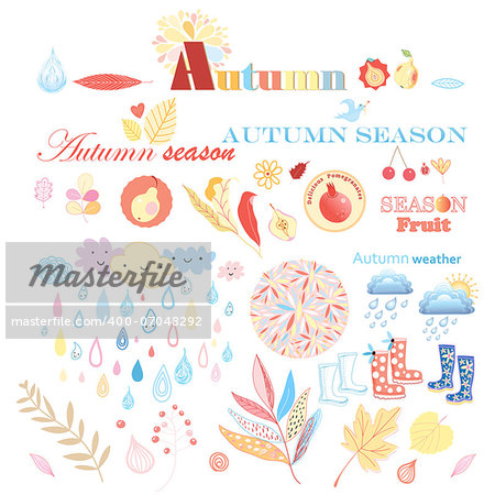 bright autumn set with different elements on a white background