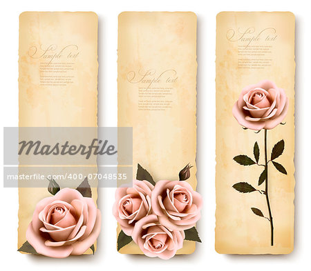 Three retro holiday banners with pink roses. Vector